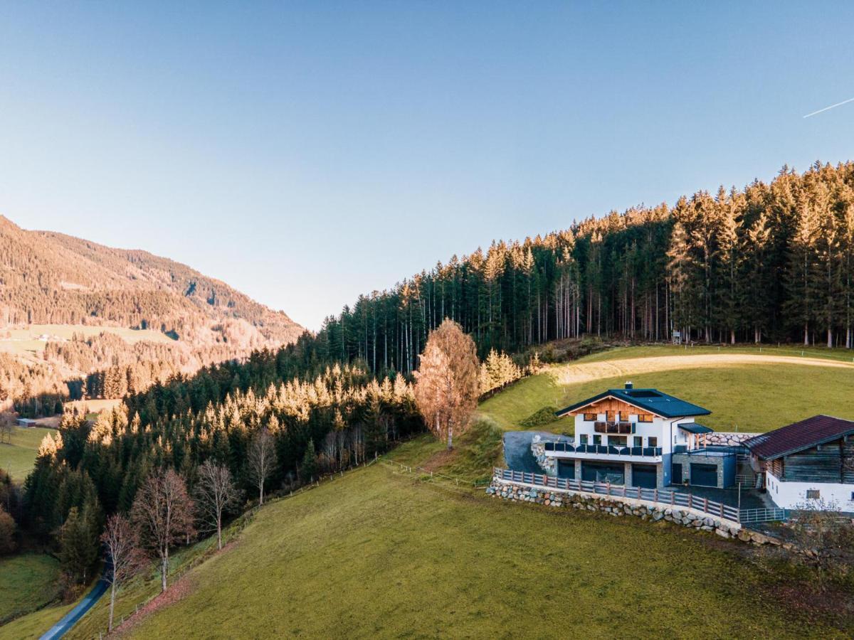Chalet Hochthron Pfarrwerfen Ngoại thất bức ảnh